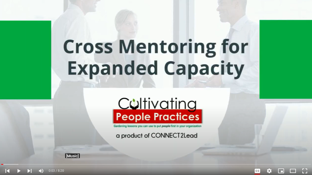 Consider Cross Mentoring for Expanded Capacity