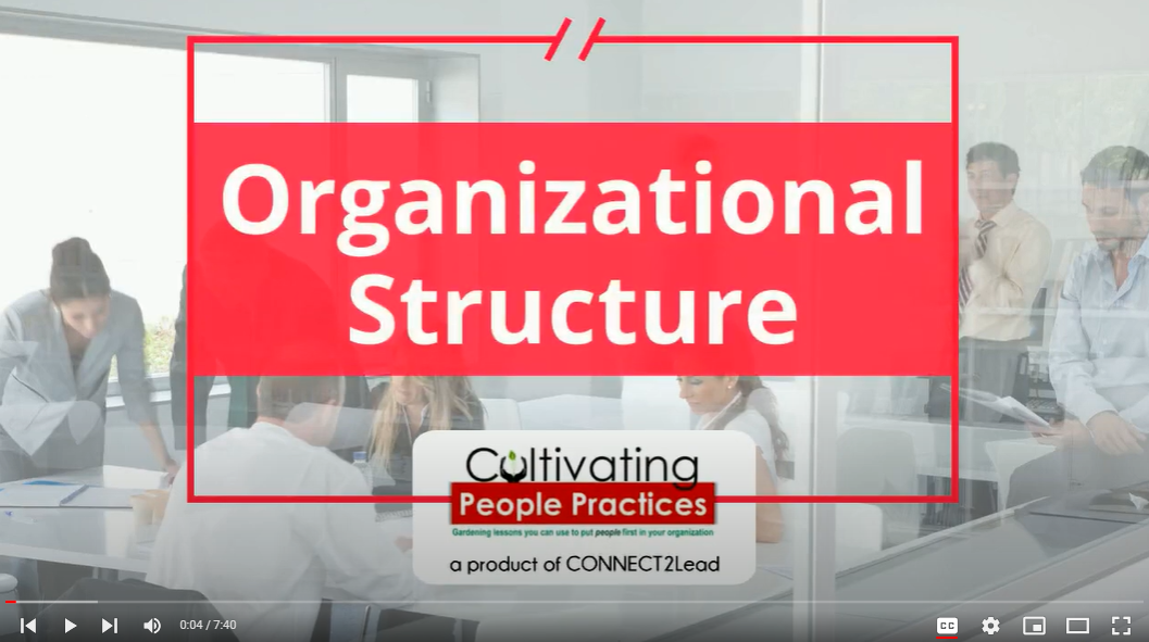 Get More from Your Team with an Improved Organizational Structure