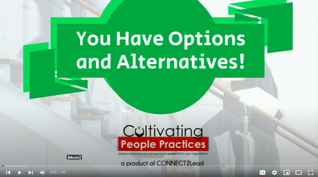 You Have Options and Alternatives for Your People Practices!